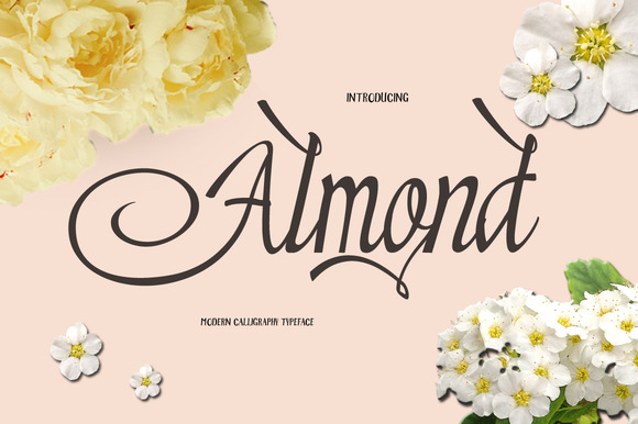 Almond: A Brush Script for Modern, Expressive Design