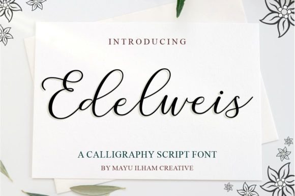 Edelweis: The Calligraphy Script That Feels Like a Luxury Upgrade